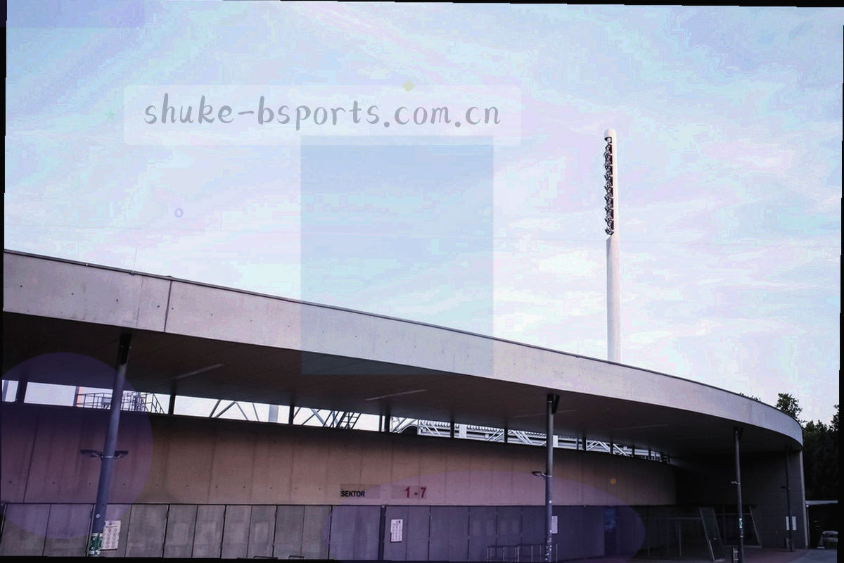 BSPORTS 客户端重新登录界面，账号输入框与手机验证区域的字段位置示意